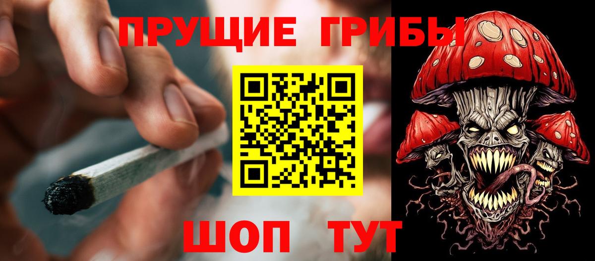 Псилоцибиновые грибы мицелий  дарнет шоп  Чехов  Вход с VPN 